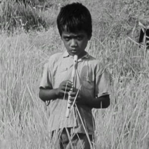 US Presidency Roller Coaster
<span class="bsf-rt-reading-time"><span class="bsf-rt-display-label" prefix="Reading Time"></span> <span class="bsf-rt-display-time" reading_time="5"></span> <span class="bsf-rt-display-postfix" postfix="mins"></span></span><!-- .bsf-rt-reading-time -->