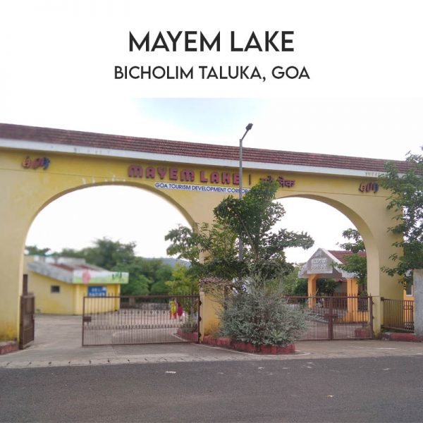 Doctor’s Day Out – The True Warriors
<span class="bsf-rt-reading-time"><span class="bsf-rt-display-label" prefix="Reading Time"></span> <span class="bsf-rt-display-time" reading_time="12"></span> <span class="bsf-rt-display-postfix" postfix="mins"></span></span><!-- .bsf-rt-reading-time -->